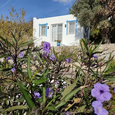 Hotel Mavi Kelebek *