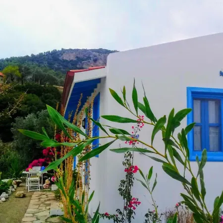 Mavi Kelebek * דטקה