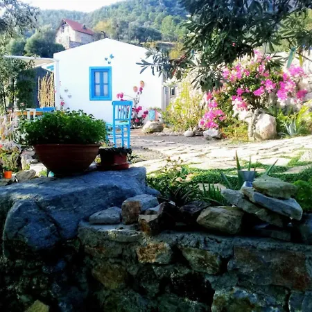 Hotell Mavi Kelebek *