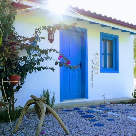 מלון Mavi Kelebek דטקה