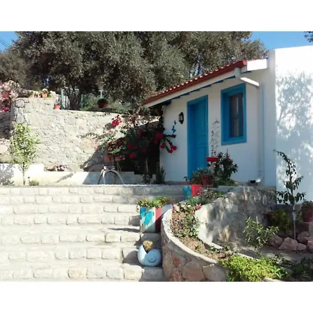 Hotell Mavi Kelebek *