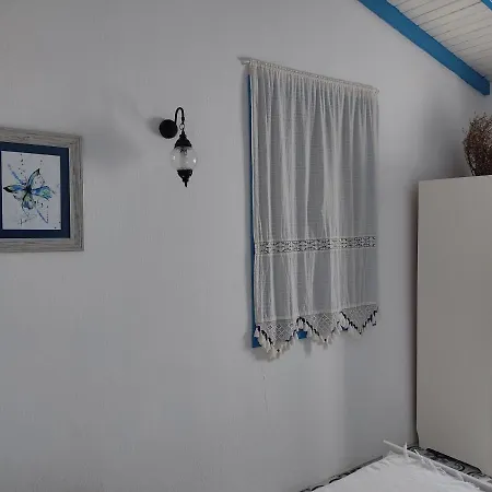 Mavi Kelebek דטקה