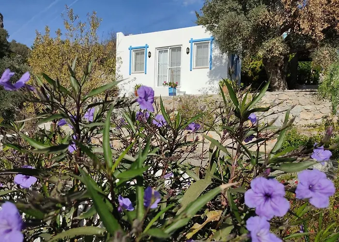 Hotel Mavi Kelebek *