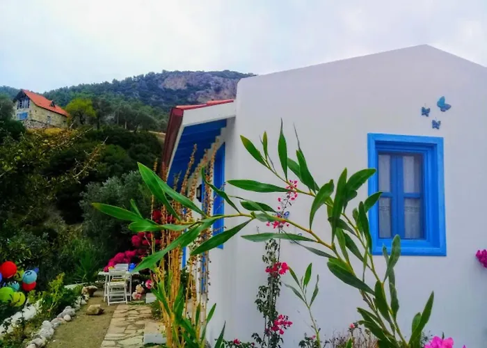 Mavi Kelebek * Datça