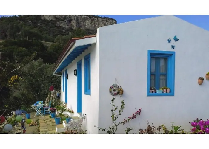 Mavi Kelebek * Datça