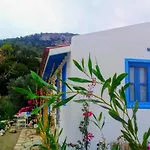 Mavi Kelebek * Datça