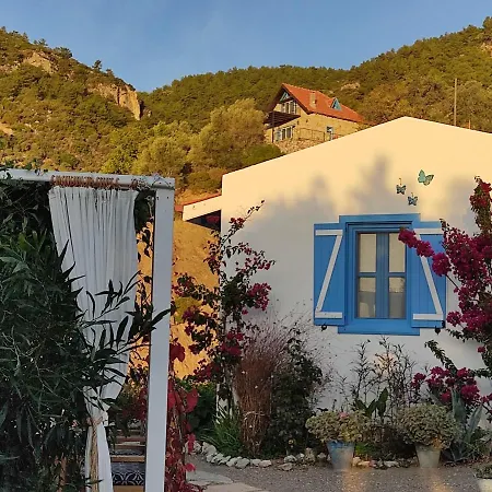 Mavi Kelebek Szálloda *