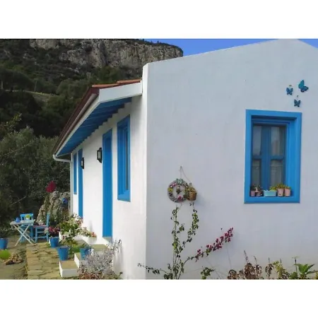 Mavi Kelebek * ダッチャ